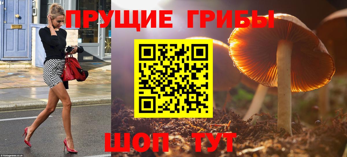 Галлюциногенные грибы мухоморы Красный Сулин