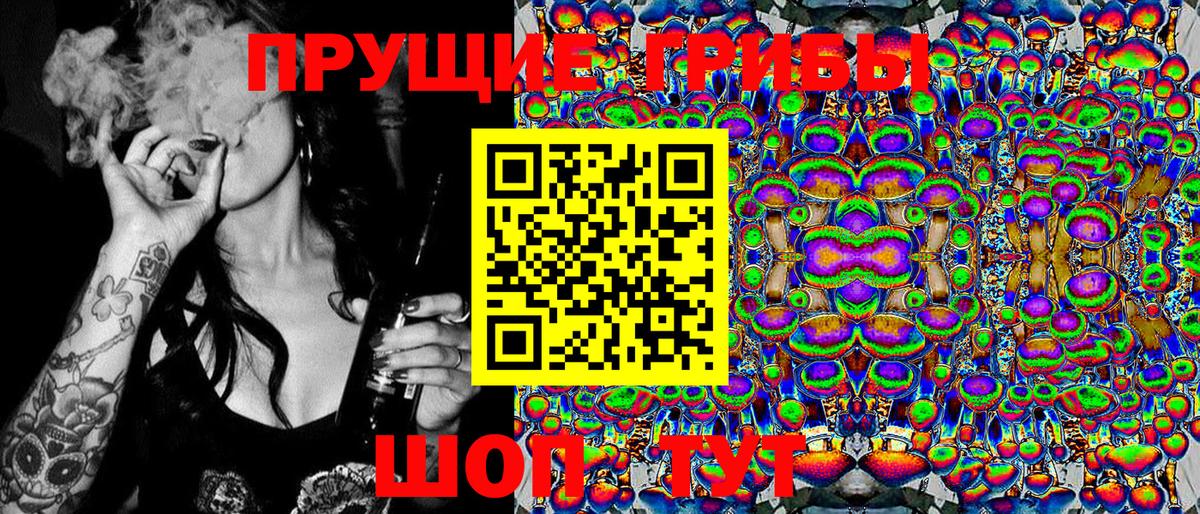 Галлюциногенные грибы Cubensis  Вход с VPN  Красный Сулин 